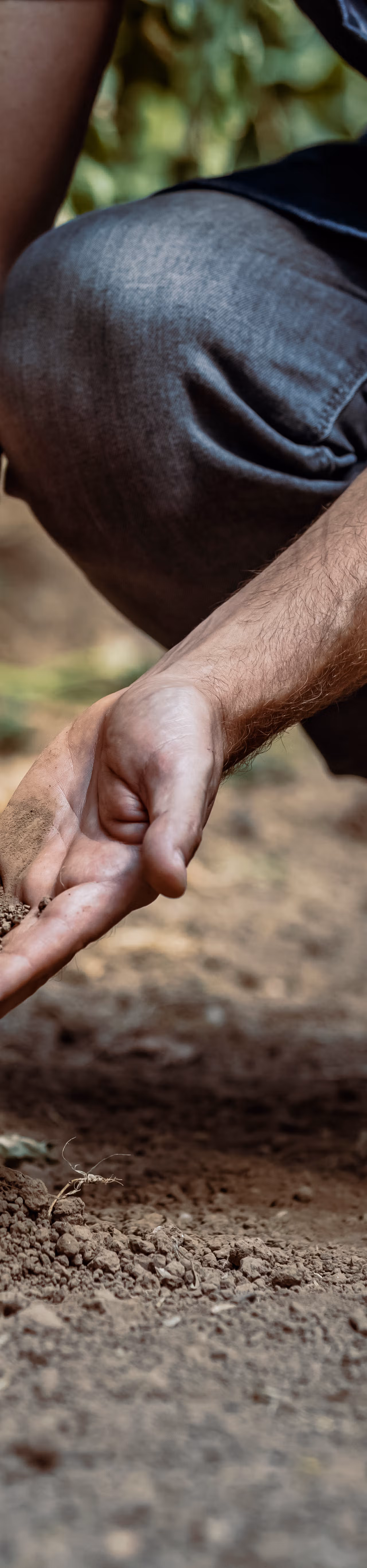 Circular economy image